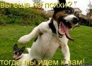 Діма Клименко фотография #17 (источник - https://vk.com/id150991782)