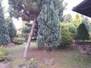 Соломія Скварчинська фотография #16 (источник - https://vk.com/id165354501)