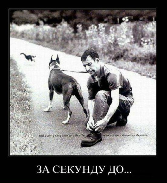 Андрей Шульженко фото №15