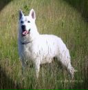 Ярик Сусляк фотография #4 (источник - https://vk.com/id6677792)