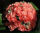 Фотография Бертош Аллы