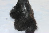 Фотография Киприяновой Юлии