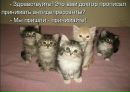 Ірина Федоренко фотография #19 (источник - https://vk.com/id137645039)