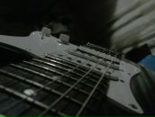 Фотография Бакшеева Евгения