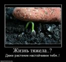 Пенсійне Забезпечення фотография #30 (источник - https://vk.com/id170342310)