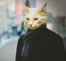 Фотография Габибова Рената