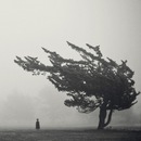 Фотография Осинчука Егора