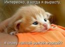 Вікуся Ярошук фотография #41 (источник - https://vk.com/id154040296)