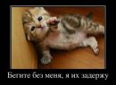 Владимир Поляков фотография #39 (источник - https://vk.com/id6948272)
