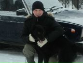 Фотография Метлина Анна