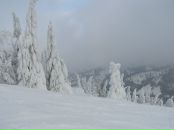 Иван Стадниченко фотография #26 (источник - https://vk.com/id4754526)