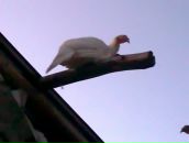 Фотография Чернова Сергея