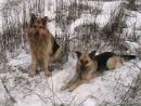 Ярослав Іванишен фотография #32 (источник - https://vk.com/id153989322)
