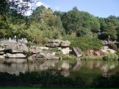 Ігор Носалюк фотография #11 (источник - https://vk.com/id33754899)