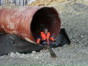 Лена Алексанян фотография #35 (источник - https://vk.com/id37134541)