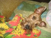 Фотография Скорятиной Татьяны