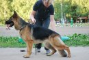 Маша Федько фотография #16 (источник - https://vk.com/id543435)