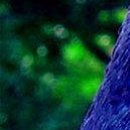 Наталія Шевченко фотография #34 (источник - https://vk.com/id19042446)