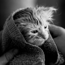 Андрій Ханюк фотография #50 (источник - https://vk.com/id3657385)