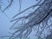 Фотография Аллы Аллы