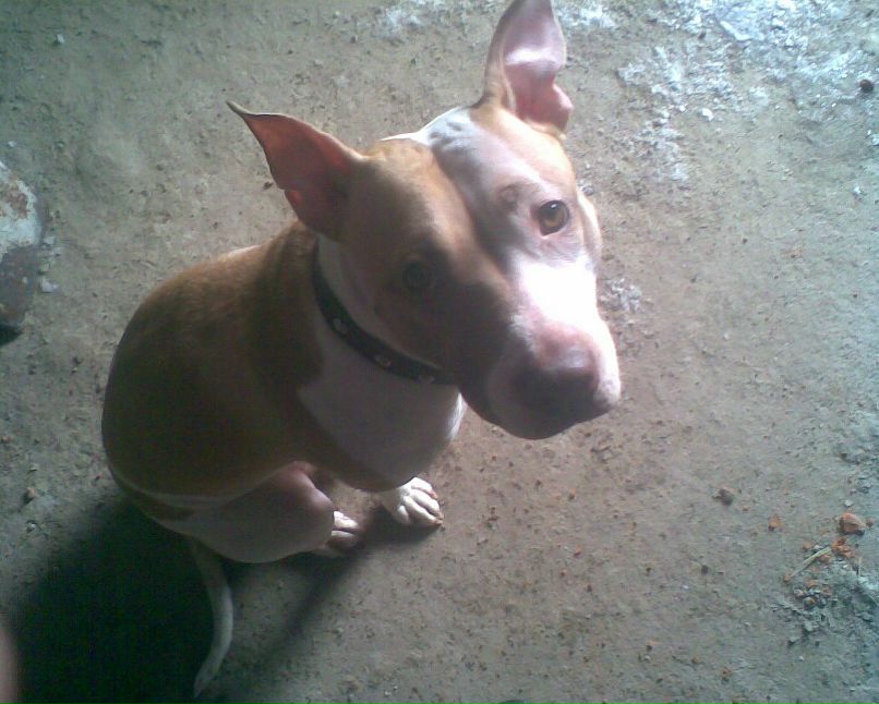 Дмитрий Асеев фотография #39