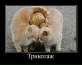 Ліля Кузік фотография #34 (источник - https://vk.com/id10807146)