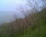 Наташа Білоус фотография #21 (источник - https://vk.com/id103524110)
