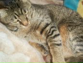 Валерій Матіїшин фотография #16 (источник - https://vk.com/id13193276)