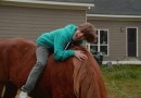 ♥justin Bieber♥ фотография #16 (источник - https://vk.com/id84086315)