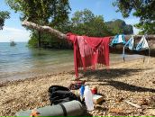 Фотография Лето Анастасии