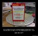  фотография #6