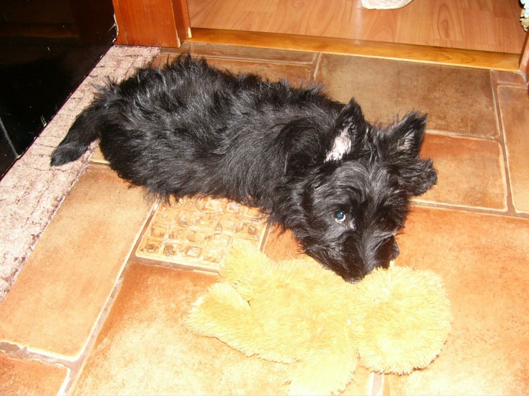 Ольга Бышенко фотография #30