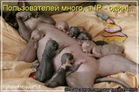 Фотография Ольга Емельянова