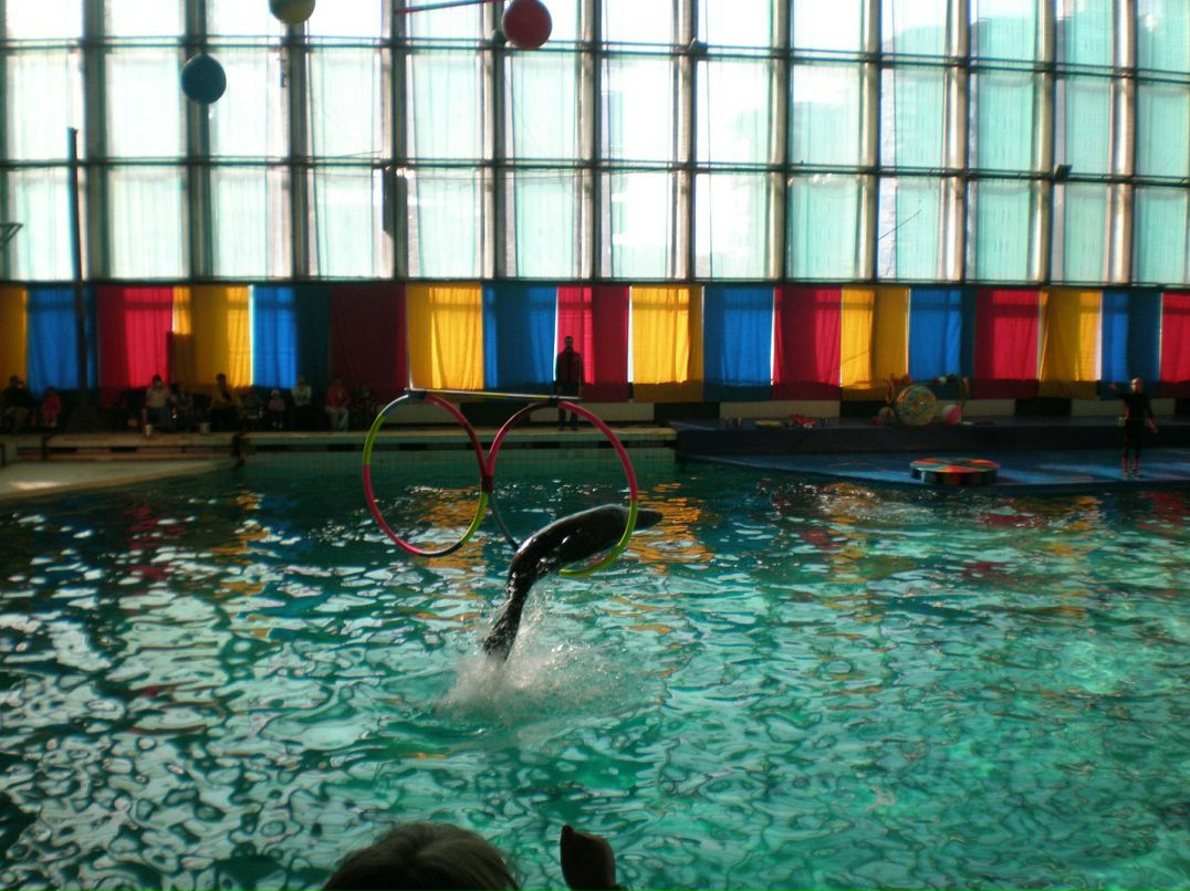 Ирина Мальцева фотография #50