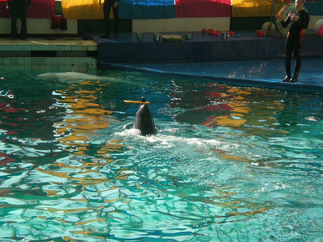 Ирина Мальцева фотография #46