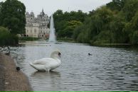 Анна Лукина фотография #29 (источник - https://vk.com/id34370)