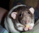 Фотография Политова Игоря