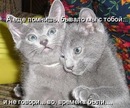 Іванка Стаднічук фотография #4 (источник - https://vk.com/id156961608)