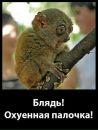 Ирина Мищенко фотография #12 (источник - https://vk.com/id17107253)