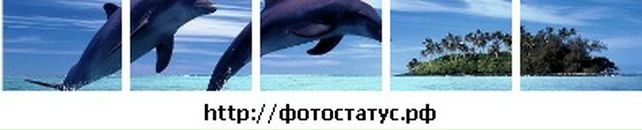 Аліна Пилипів фотография #34 (источник - https://vk.com/id38378846)