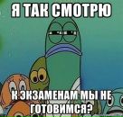 Katya Vi фотография #42 (источник - https://vk.com/id5806463)