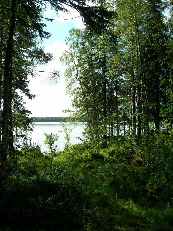 Дмитрий Вит фотография #36