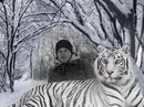 Андрій Лисоченко фотография #27 (источник - https://vk.com/id151407958)