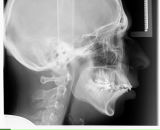 Фотография Крынского Александра