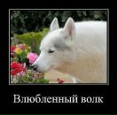 Фотография Герасименко Елены