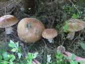 Андрій Шимко фотография #40 (источник - https://vk.com/id49739995)