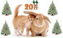 Роман Дзядів фотография #29 (источник - https://vk.com/id21097655)