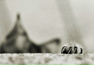 Фотография Shiva Настёны