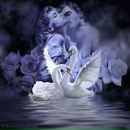 Фотография Серафимовича Константина