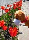 Іра Капітонова фотография #24 (источник - https://vk.com/id386275)